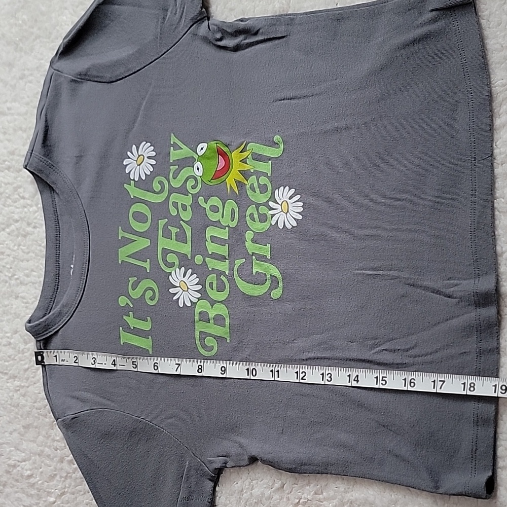 Disney The Muppets M Gray Tee with Kermit Graphic - Picture 8 of 8